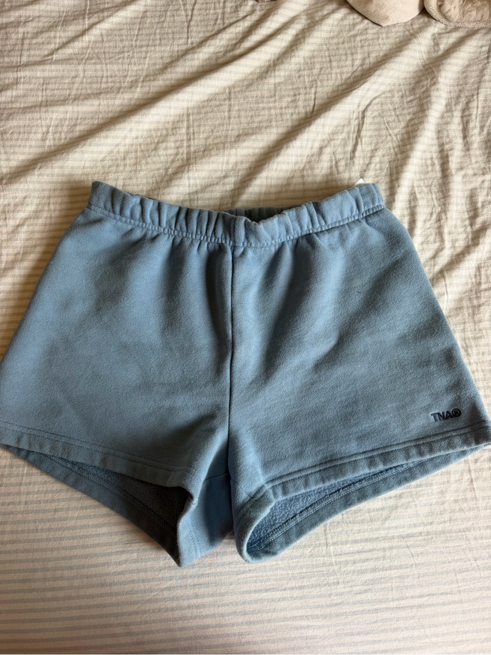 Aritzia TNA Light Blue Athletic Fleece Shorts